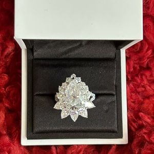 Custom Moissanite Pear with halo ring